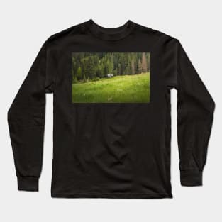 Picturesque Carpathians Scene Long Sleeve T-Shirt